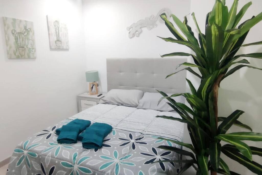 - Lujo - Parking, Maquina Arcade, Wifi Y Netflix Leilighet Oviedo Eksteriør bilde